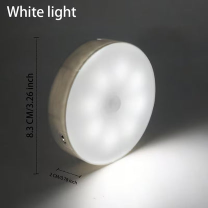 Rechargeable Motion Sensor LED Wall Light